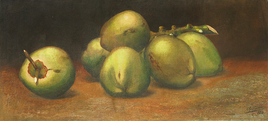 Coconuts on Bough<br>
<i>(Racimo de Cocos)</i>
 by Juan Gil García