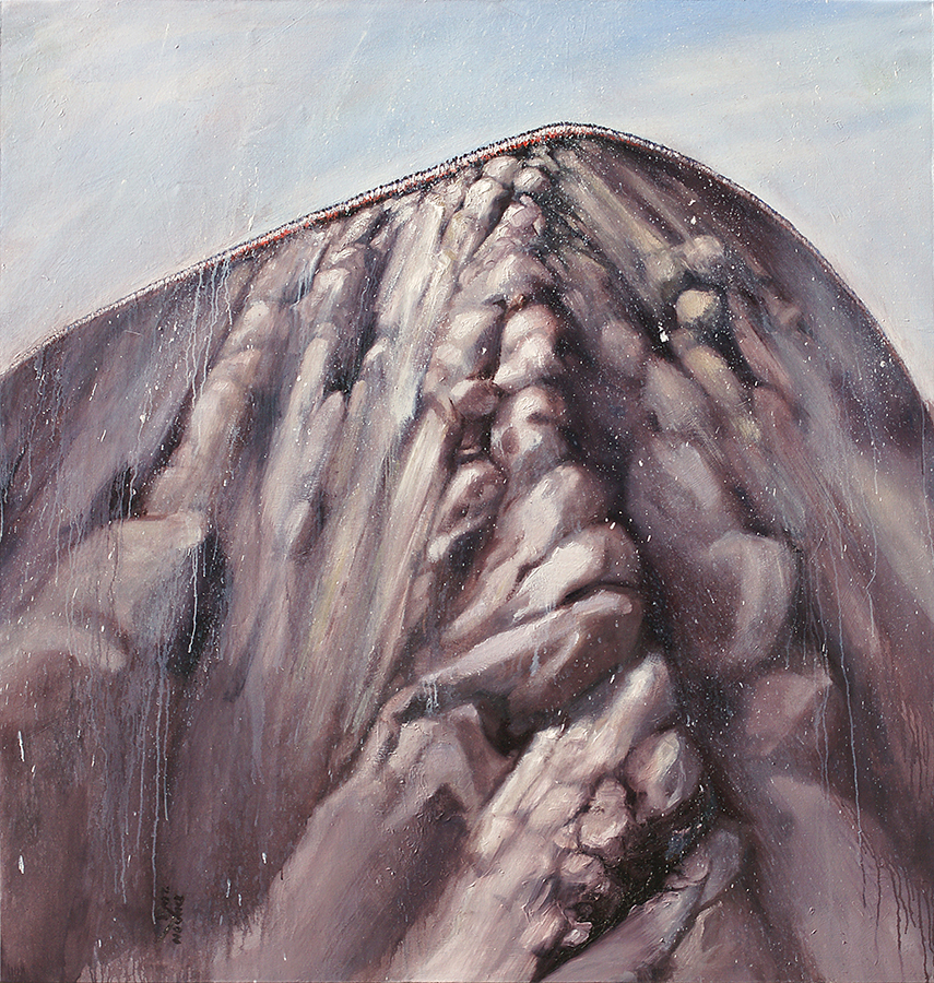 The Rock <br>
<i>(La Roca)</i> by Dayron Gonzlez
