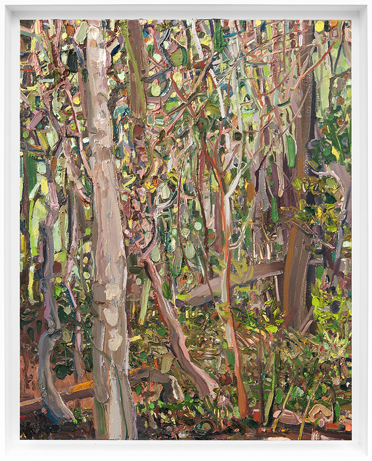Deep Wood Transition<br>
<i>(Transici�n Bosque Adentro)</i> by Lilian Garcia-Roig