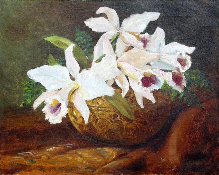Orchid<br>
(<i>Orqudea</i>) by Antonio Rodrguez Morey