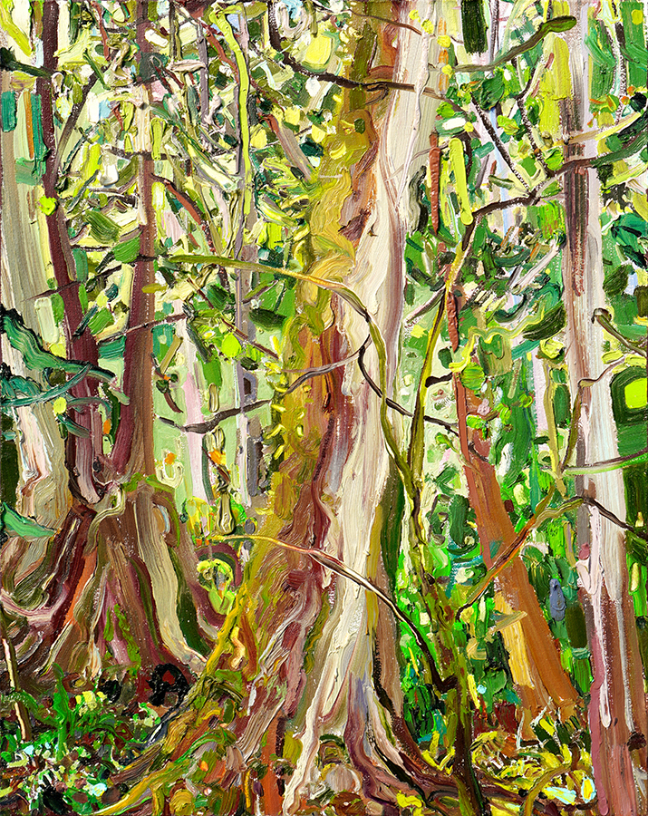 Extended Fauve Forest I  <br>
<i>(Bosque Fauve Extendido I)</i>        by Lilian García-Roig