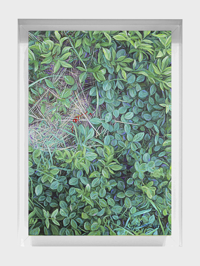 Trail of Love<br>
<i>(Rastro de Amor)</i> by Miguel Florido