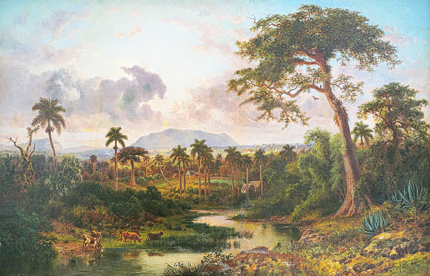 Cuban Art Esteban Chartrand