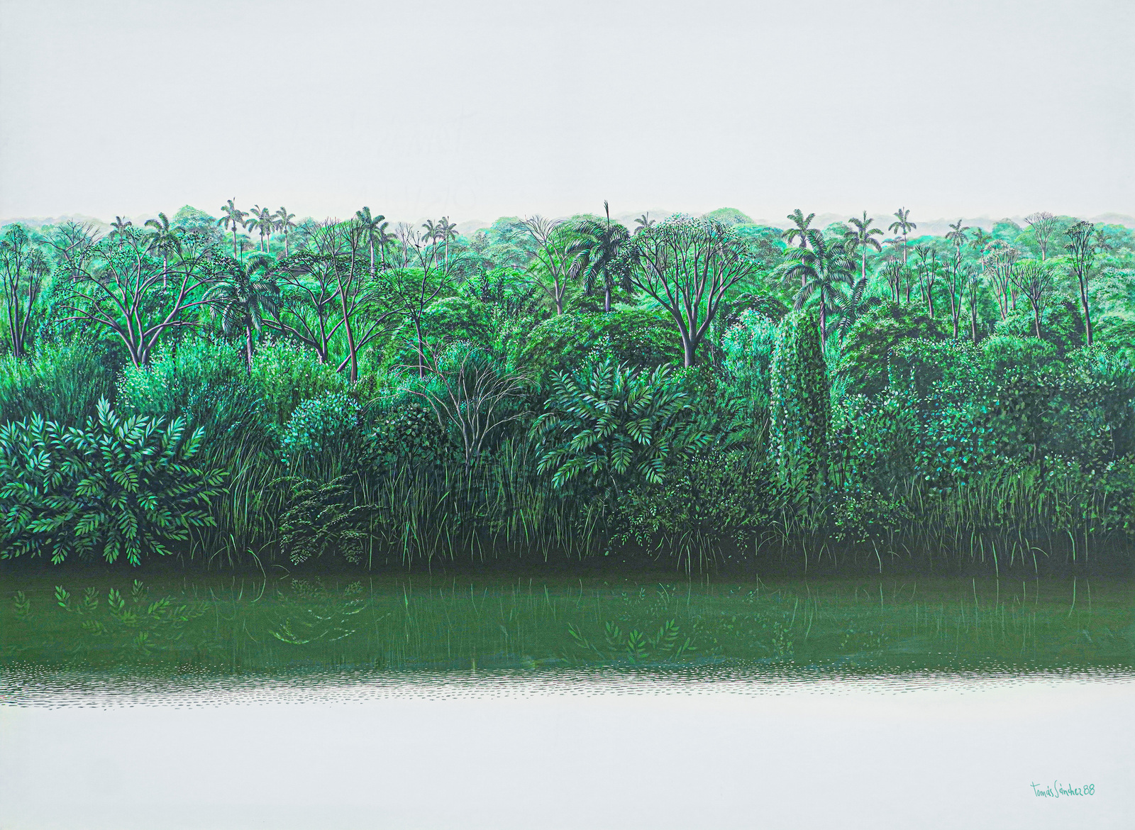 Cuban Art Tom�s S�nchez