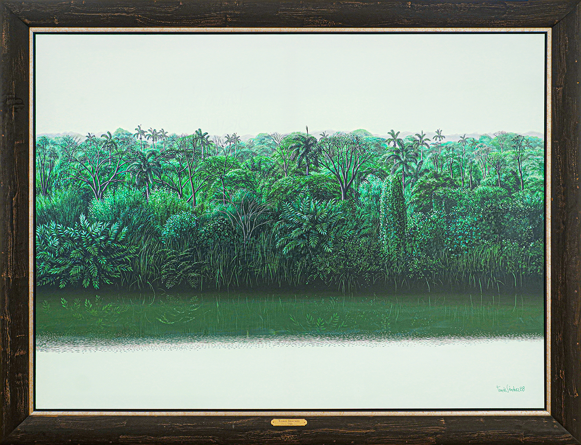 Cuban Art Tom�s S�nchez
