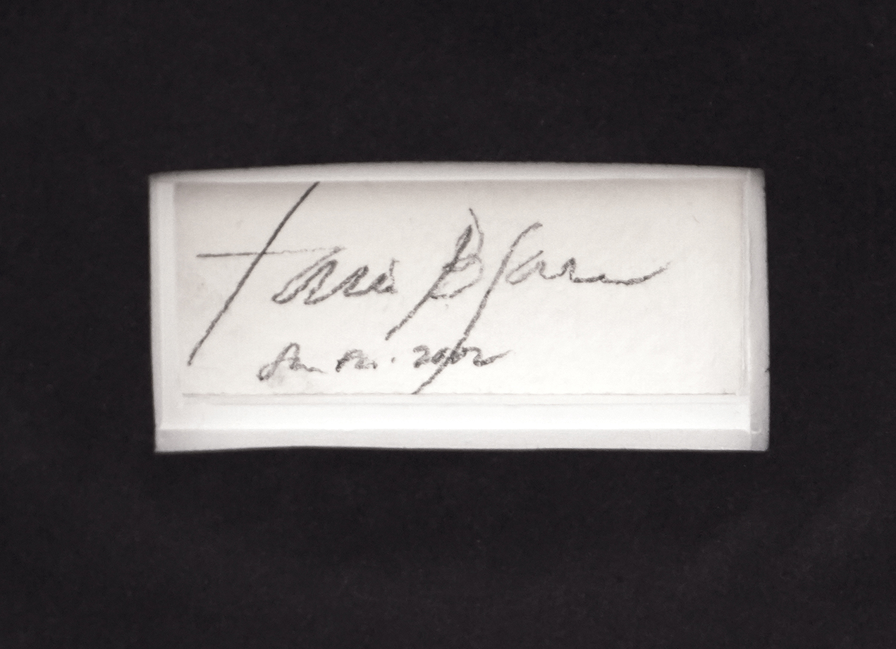 Untitled [Tea Time] <br>
<i>(Sin T�tulo [Tiempo de T�])</i> by Tania Bruguera