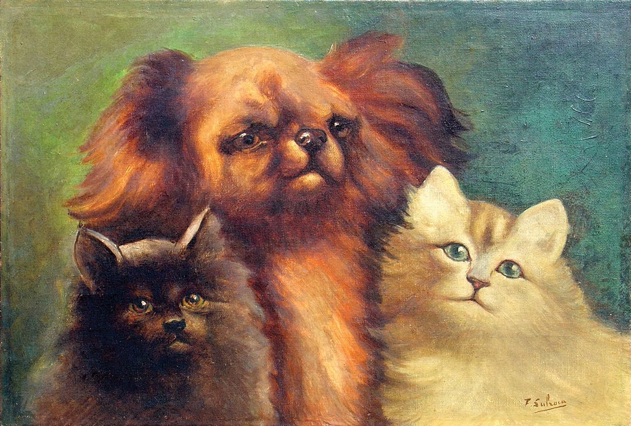 Dog and Cats<br>
<i>(Perro y Gatos)</i> by Federico Sulroca