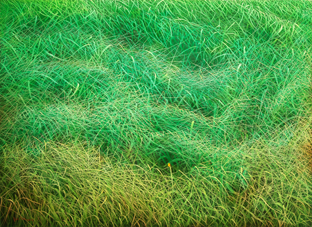 MIGUEL FLORIDO (b. 1980)<br> 
Transformation<br>
<i>(Transformaci�n),</i> 2017-18<br>
oil on canvas<br>
51 � x 71 inches
