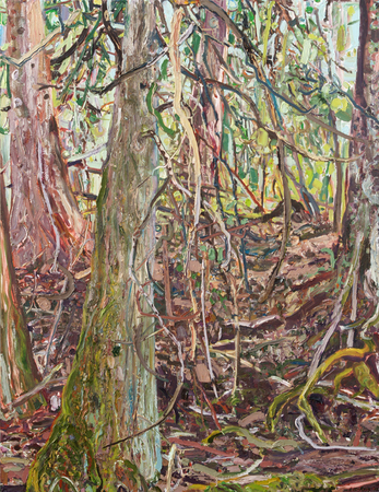 LILIAN GARC�A-ROIG (b. 1966)<br>
Hemlock Cove<br>
(<i>Bosque Frondoso</i>), 2008<br>
oil on canvas<br>
48 x 36 inches
