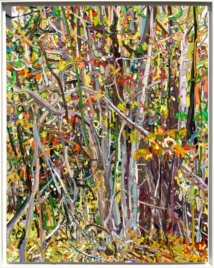 <b>LILIAN GARC�A-ROIG</b> (b. 1966)<br>
Maple and Vines Intertwine</br>
<i>(Arces y Enredaderas),</i> 2008 <br>
oil on canvas </br>
60 x 48 inches [without frame]<br>
62 3/4 x 50 3/4 inches [with frame]</br><br><br/>