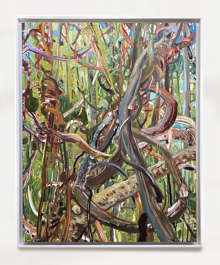 Lilian Garc�a-Roig<br>
Hyperbolic Nature: Vine Twist<br>
(<i>Naturaleza Hiperb�lica: Enredaderas</i>), 2008<br>
oil on canvas<br>
60 x 48 inches