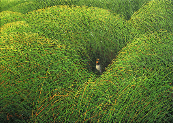 MIGUEL FLORIDO<br>
I Will Wait for You<br>
(<i>Te Esperaré</i>)<br>
2014<br>
oil on canvas<br>
9 3/4 x 13 3/4 inches<br><br>
Illustrated in <i>Important Cuban Artworks, Volume Thirteen, Cernuda</i> Arte,<br> Coral Gables,
Florida, December 2015, page 139.
