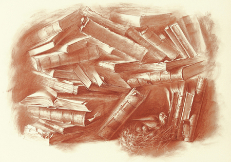 JOEL BESMAR<br>
The Ideal Library<br>
(<i>La Biblioteca Ideal</i>) 2009<br>
sanguine on heavy paper laid down on board<br>
27 1/2 x 39 3/4 inches<br><br>
Illustrated in <i>IMPORTANT CUBAN ARTWORKS,<br> Volume Eight</i>, page 129.
