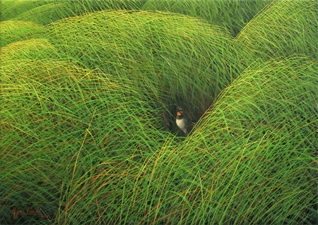 MIGUEL FLORIDO<br>I Will Wait For You<br>(<i>Te Esperar</i>)<br> 2014<br> oil on canvas<br> 9 3/4 x 13 3/4 inches<br><br>
Illustrated in <i>IMPORTANT CUBAN ARTWORKS,<br>
Volume Thirteen</i>, page 139.

