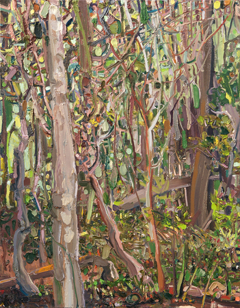 LILIAN GARC�A-ROIG<br>
Deep Wood Transition<br>
(<i>Transici�n Bosque Adentro</i>)<br>
2012<br>
oil on canvas<br>
30 x 24 inches