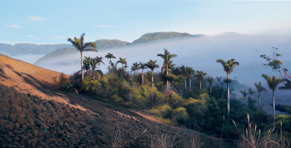 Giosvany Echevarr�a<br> A New Dawn<br> (<i>Un Nuevo Amanecer</i>), 2017<br> oil on canvas<br> 40 x 78 � inches<br><br>
Illustrated in <i>Important Cuban Artworks, Volume Fifteen, Cernuda</i> Arte,<br>
Coral Gables, Florida, November 2017, pg. 166.