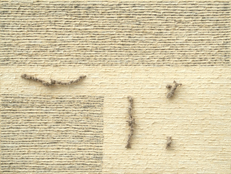 Juan Roberto Diago <br> Untitled [Feel My Pain]<br> (<i>Sin T�tulo</i> [<i>Siente Mi Dolor</i>]), 2016<br>
mixed media and collage on canvas<br> 23 � x 31 � inches<br><br>
Illustrated in <i>Important Cuban Artworks, Volume Fifteen, Cernuda</i> Arte,<br>
Coral Gables, Florida, November 2017, pg. 140.